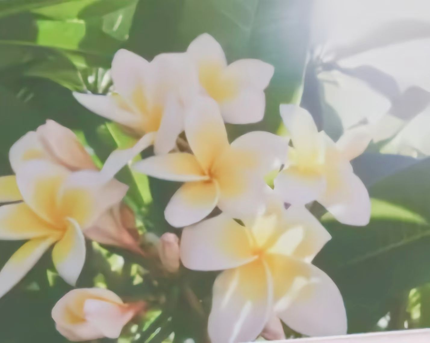 9428cn太阳集团古天乐