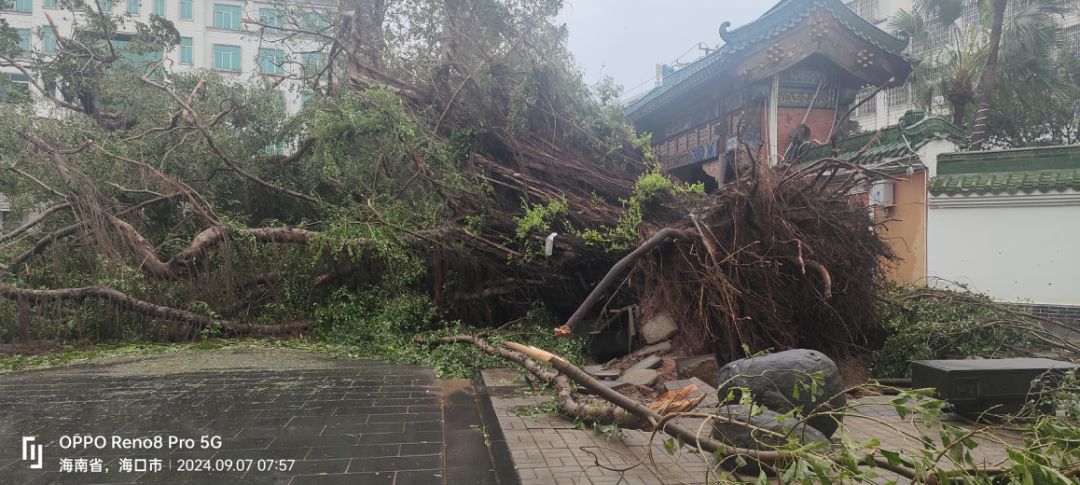 9428cn太阳集团古天乐