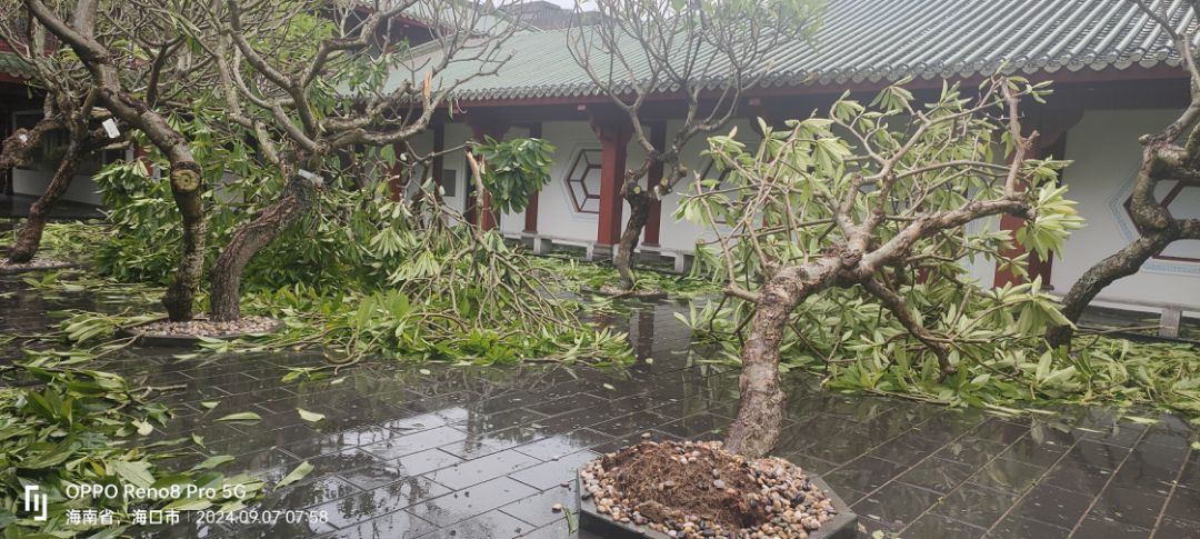 9428cn太阳集团古天乐