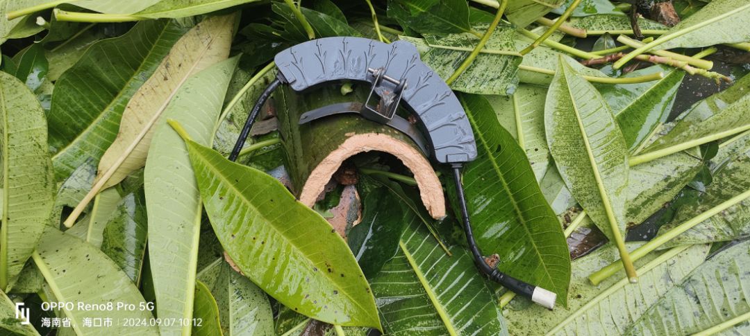 9428cn太阳集团古天乐