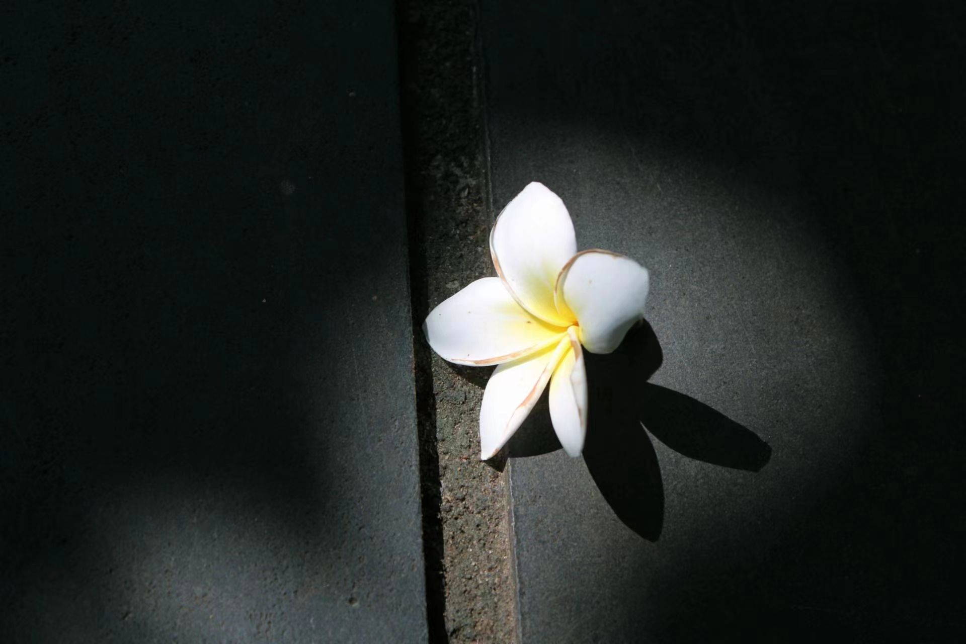 9428cn太阳集团古天乐