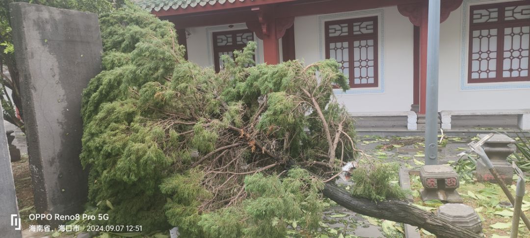 9428cn太阳集团古天乐